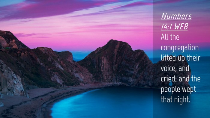 Picture 04 - Numbers 14:1 WEB Desktop Wallpaper - All the congregation lifted up their voice, and - Desktop Bible Verse Wallpaper