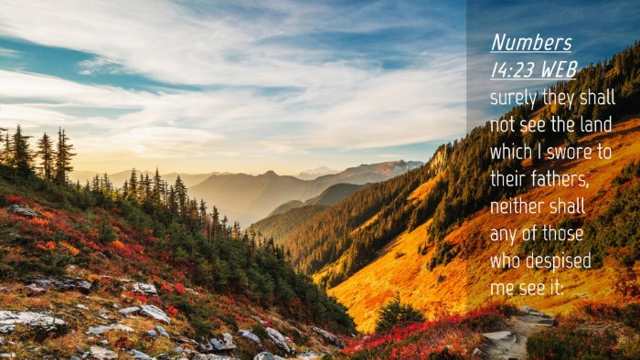 Picture 04 - Numbers 14:23 WEB Desktop Wallpaper - surely they shall not see the land which I swore - Desktop Bible Verse Wallpaper