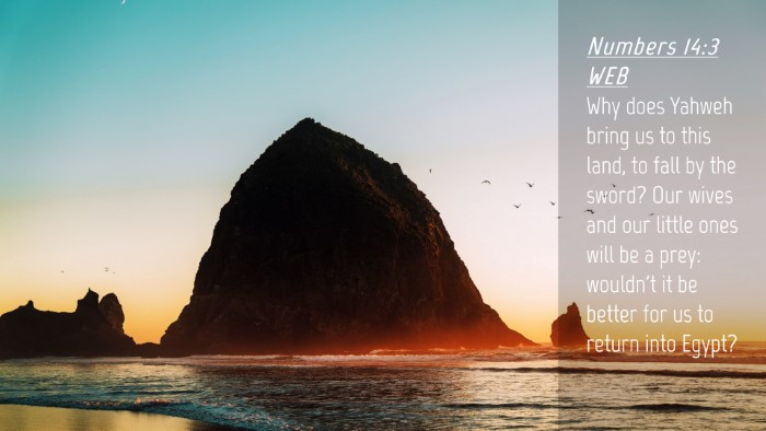 Picture 04 - Numbers 14:3 WEB Desktop Wallpaper - Why does Yahweh bring us to this land, to fall by - Desktop Bible Verse Wallpaper