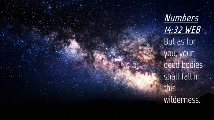 Picture 04 - Numbers 14:32 WEB Desktop Wallpaper - But as for you, your dead bodies shall fall in - Desktop Bible Verse Wallpaper
