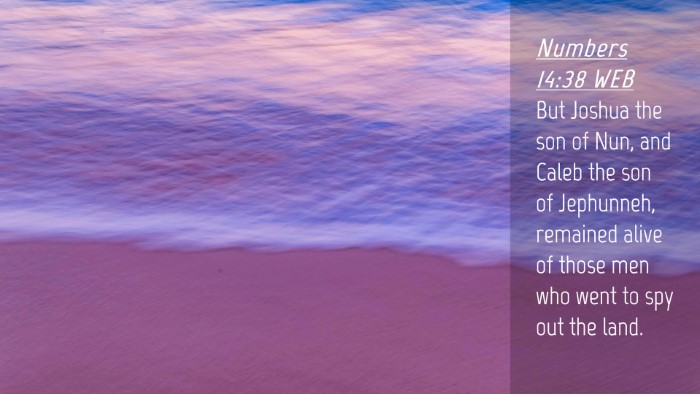 Picture 04 - Numbers 14:38 WEB Desktop Wallpaper - But Joshua the son of Nun, and Caleb the son of - Desktop Bible Verse Wallpaper