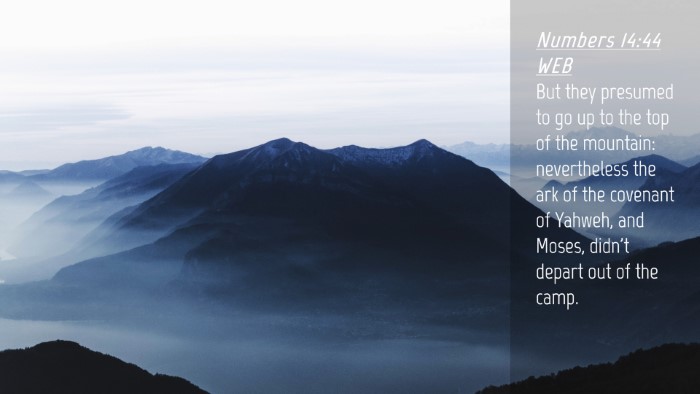 Picture 04 - Numbers 14:44 WEB Desktop Wallpaper - But they presumed to go up to the top of the - Desktop Bible Verse Wallpaper