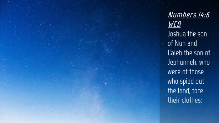 Picture 04 - Numbers 14:6 WEB Desktop Wallpaper - Joshua the son of Nun and Caleb the son of - Desktop Bible Verse Wallpaper