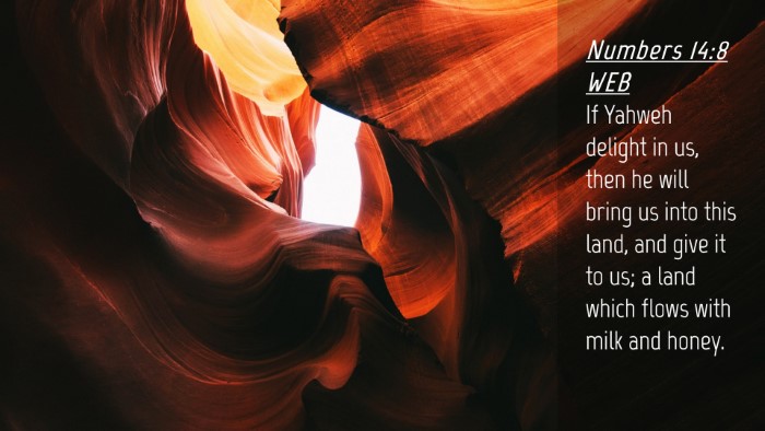 Picture 04 - Numbers 14:8 WEB Desktop Wallpaper - If Yahweh delight in us, then he will bring us - Desktop Bible Verse Wallpaper