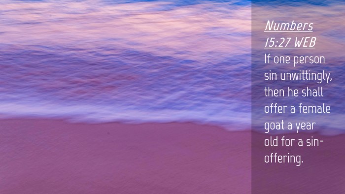 Picture 04 - Numbers 15:27 WEB Desktop Wallpaper - If one person sin unwittingly, then he shall - Desktop Bible Verse Wallpaper