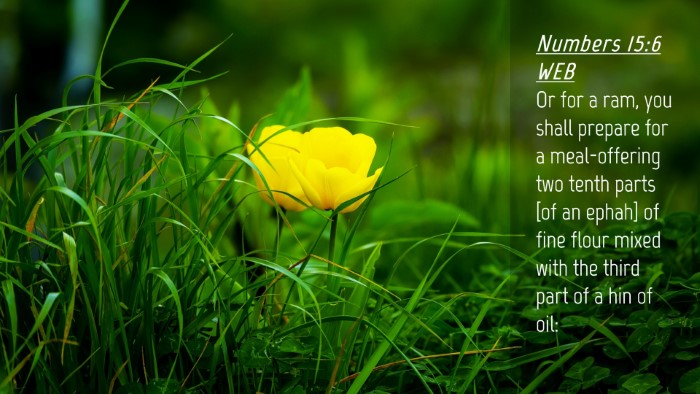 Picture 04 - Numbers 15:6 WEB Desktop Wallpaper - Or for a ram, you shall prepare for a - Desktop Bible Verse Wallpaper