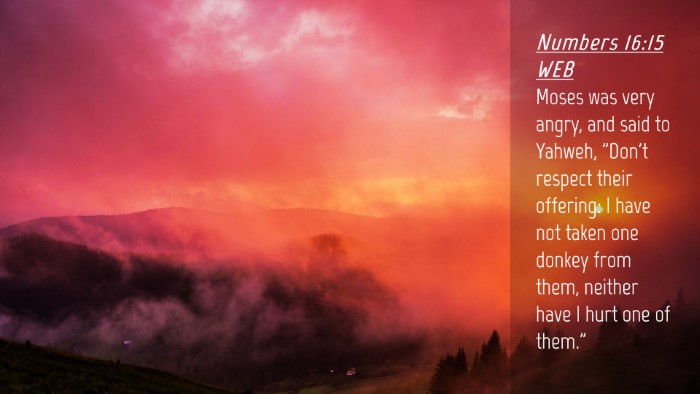 Picture 04 - Numbers 16:15 WEB Desktop Wallpaper - Moses was very angry, and said to Yahweh, 