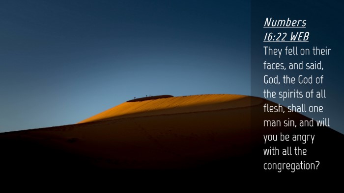 Picture 04 - Numbers 16:22 WEB Desktop Wallpaper - They fell on their faces, and said, God, the God - Desktop Bible Verse Wallpaper