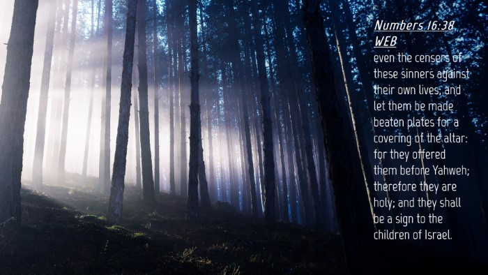 Picture 04 - Numbers 16:38 WEB Desktop Wallpaper - even the censers of these sinners against their - Desktop Bible Verse Wallpaper