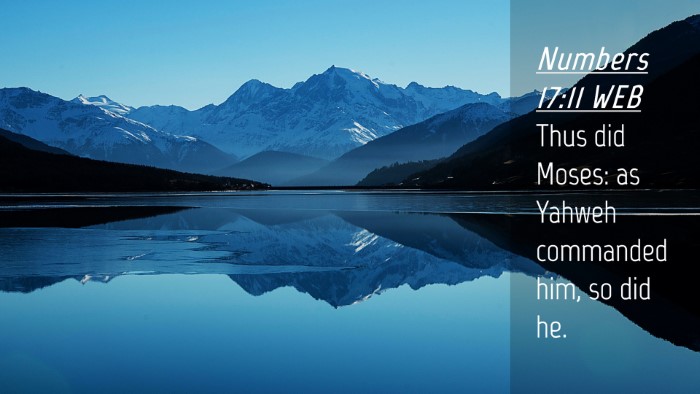 Picture 04 - Numbers 17:11 WEB Desktop Wallpaper - Thus did Moses: as Yahweh commanded him, so did - Desktop Bible Verse Wallpaper