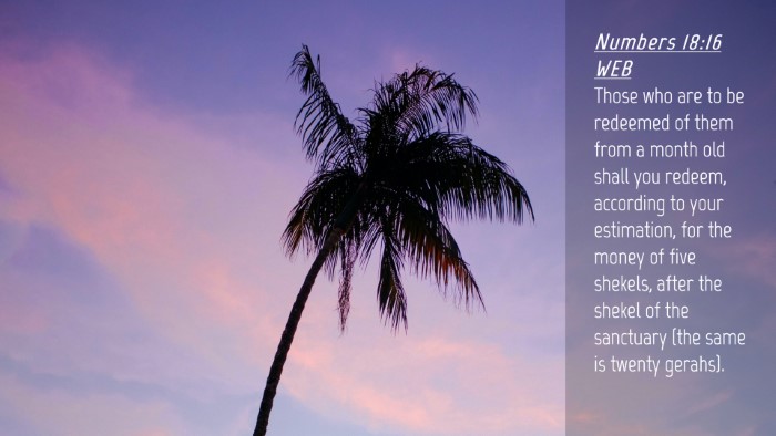 Picture 04 - Numbers 18:16 WEB Desktop Wallpaper - Those who are to be redeemed of them from a month - Desktop Bible Verse Wallpaper
