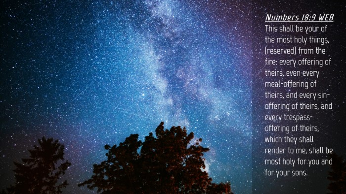 Picture 04 - Numbers 18:9 WEB Desktop Wallpaper - This shall be your of the most holy things, - Desktop Bible Verse Wallpaper