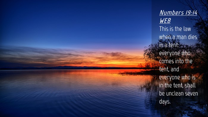 Picture 04 - Numbers 19:14 WEB Desktop Wallpaper - This is the law when a man dies in a tent: - Desktop Bible Verse Wallpaper