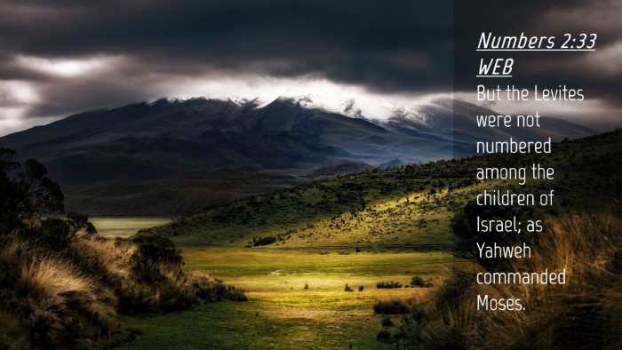 Picture 04 - Numbers 2:33 WEB Desktop Wallpaper - But the Levites were not numbered among the - Desktop Bible Verse Wallpaper