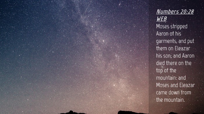 Picture 04 - Numbers 20:28 WEB Desktop Wallpaper - Moses stripped Aaron of his garments, and put - Desktop Bible Verse Wallpaper
