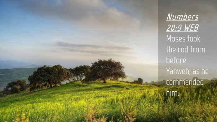 Picture 04 - Numbers 20:9 WEB Desktop Wallpaper - Moses took the rod from before Yahweh, as he - Desktop Bible Verse Wallpaper