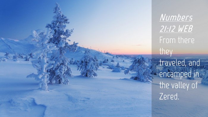 Picture 04 - Numbers 21:12 WEB Desktop Wallpaper - From there they traveled, and encamped in the - Desktop Bible Verse Wallpaper
