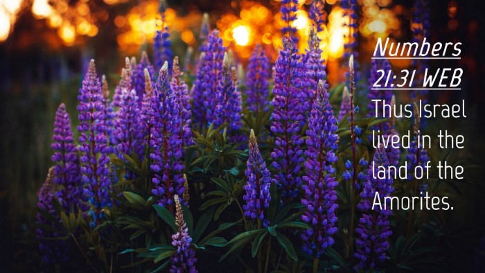 Picture 04 - Numbers 21:31 WEB Desktop Wallpaper - Thus Israel lived in the land of the - Desktop Bible Verse Wallpaper
