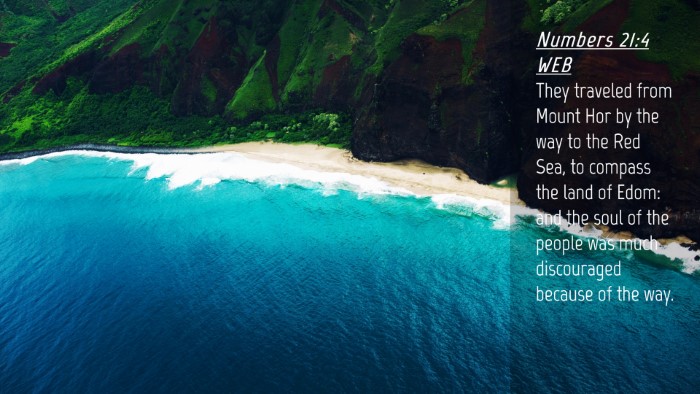 Picture 04 - Numbers 21:4 WEB Desktop Wallpaper - They traveled from Mount Hor by the way to the - Desktop Bible Verse Wallpaper