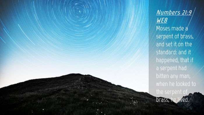 Picture 04 - Numbers 21:9 WEB Desktop Wallpaper - Moses made a serpent of brass, and set it on the - Desktop Bible Verse Wallpaper