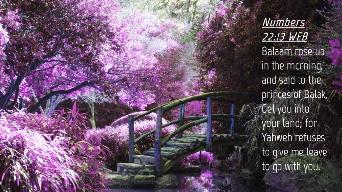 Picture 04 - Numbers 22:13 WEB Desktop Wallpaper - Balaam rose up in the morning, and said to the - Desktop Bible Verse Wallpaper