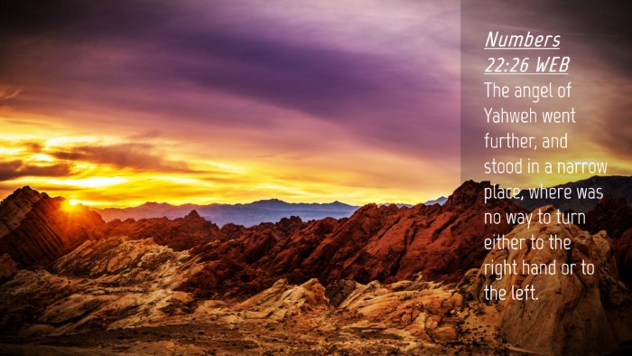 Picture 04 - Numbers 22:26 WEB Desktop Wallpaper - The angel of Yahweh went further, and stood in a - Desktop Bible Verse Wallpaper