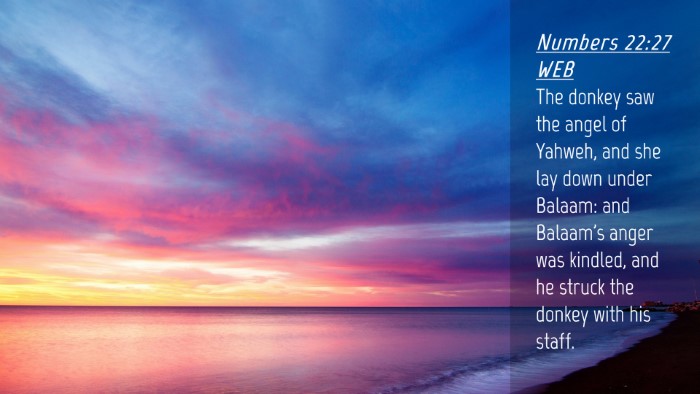 Picture 04 - Numbers 22:27 WEB Desktop Wallpaper - The donkey saw the angel of Yahweh, and she lay - Desktop Bible Verse Wallpaper