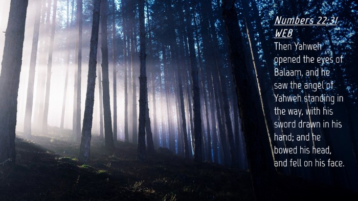 Picture 04 - Numbers 22:31 WEB Desktop Wallpaper - Then Yahweh opened the eyes of Balaam, and he saw - Desktop Bible Verse Wallpaper
