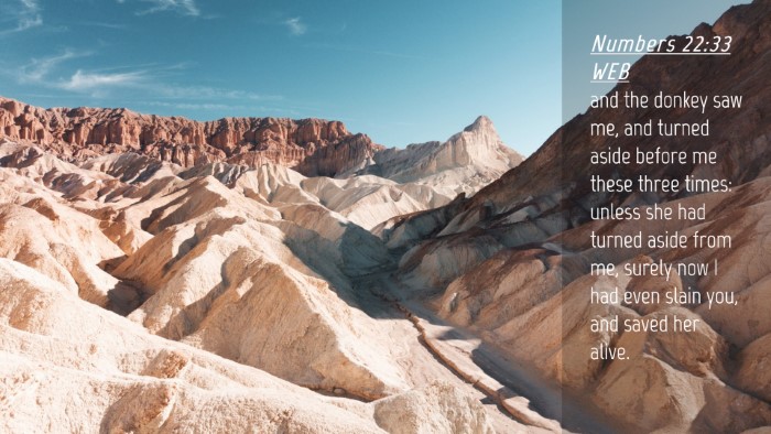 Picture 04 - Numbers 22:33 WEB Desktop Wallpaper - and the donkey saw me, and turned aside before me - Desktop Bible Verse Wallpaper