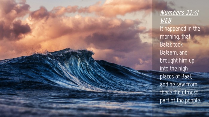 Picture 04 - Numbers 22:41 WEB Desktop Wallpaper - It happened in the morning, that Balak took - Desktop Bible Verse Wallpaper