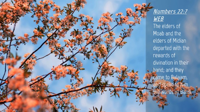 Picture 04 - Numbers 22:7 WEB Desktop Wallpaper - The elders of Moab and the elders of Midian - Desktop Bible Verse Wallpaper