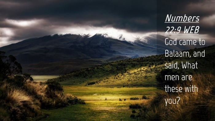 Picture 04 - Numbers 22:9 WEB Desktop Wallpaper - God came to Balaam, and said, What men are these - Desktop Bible Verse Wallpaper