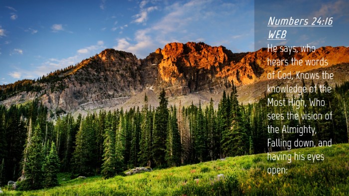Picture 04 - Numbers 24:16 WEB Desktop Wallpaper - He says, who hears the words of God, Knows the - Desktop Bible Verse Wallpaper
