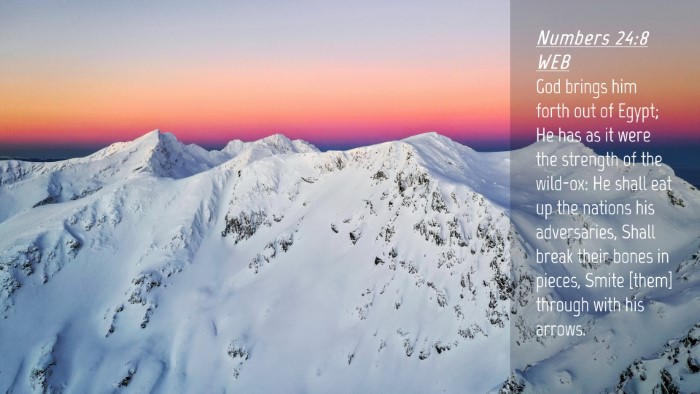 Picture 04 - Numbers 24:8 WEB Desktop Wallpaper - God brings him forth out of Egypt; He has as it - Desktop Bible Verse Wallpaper