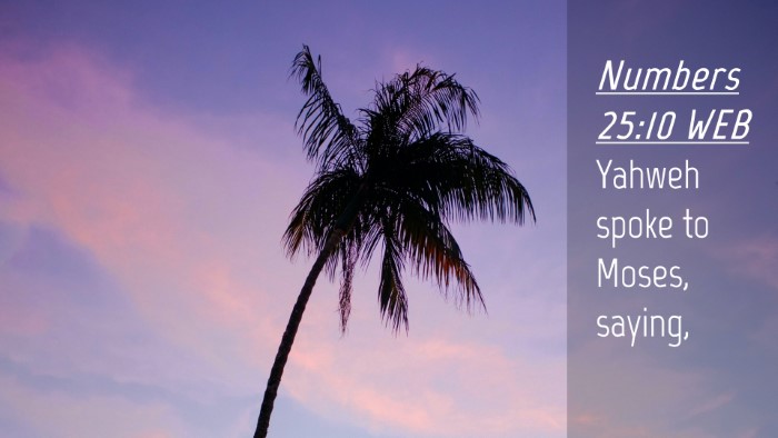 Picture 04 - Numbers 25:10 WEB Desktop Wallpaper - Yahweh spoke to Moses, - Desktop Bible Verse Wallpaper