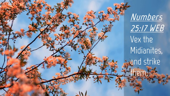 Picture 04 - Numbers 25:17 WEB Desktop Wallpaper - Vex the Midianites, and strike - Desktop Bible Verse Wallpaper