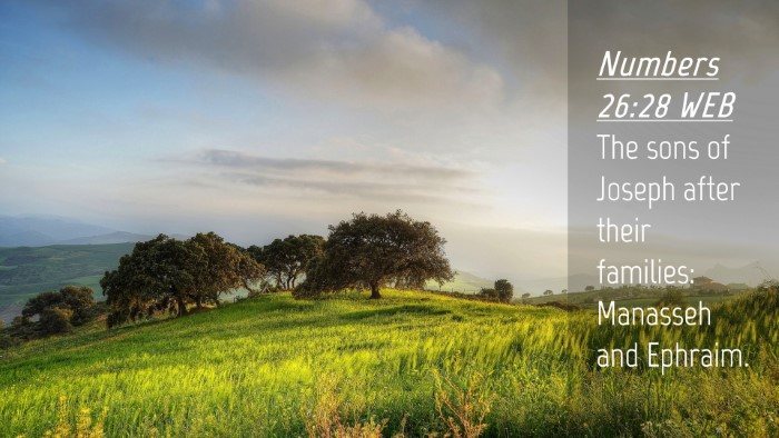 Picture 04 - Numbers 26:28 WEB Desktop Wallpaper - The sons of Joseph after their families: Manasseh - Desktop Bible Verse Wallpaper