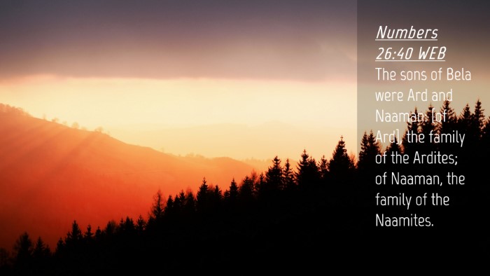 Picture 04 - Numbers 26:40 WEB Desktop Wallpaper - The sons of Bela were Ard and Naaman: [of Ard], - Desktop Bible Verse Wallpaper