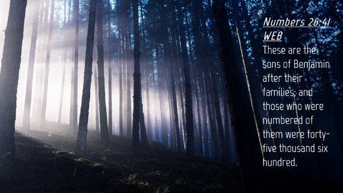 Picture 04 - Numbers 26:41 WEB Desktop Wallpaper - These are the sons of Benjamin after their - Desktop Bible Verse Wallpaper