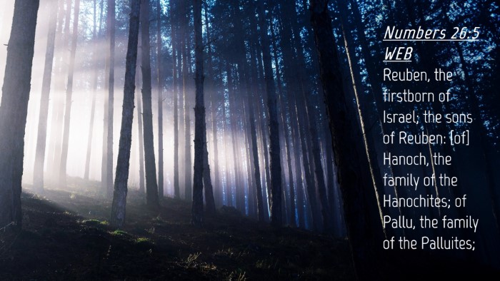 Picture 04 - Numbers 26:5 WEB Desktop Wallpaper - Reuben, the firstborn of Israel; the sons of - Desktop Bible Verse Wallpaper