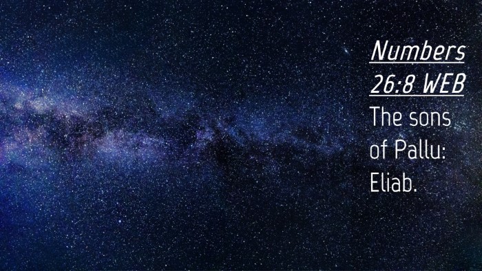 Picture 04 - Numbers 26:8 WEB Desktop Wallpaper - The sons of Pallu: - Desktop Bible Verse Wallpaper