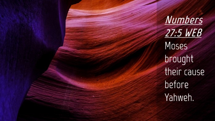 Picture 04 - Numbers 27:5 WEB Desktop Wallpaper - Moses brought their cause before - Desktop Bible Verse Wallpaper