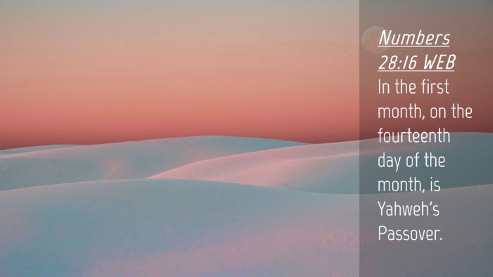 Picture 04 - Numbers 28:16 WEB Desktop Wallpaper - In the first month, on the fourteenth day of the - Desktop Bible Verse Wallpaper