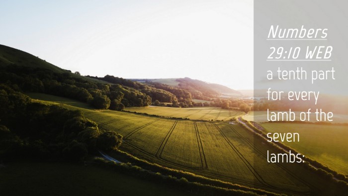 Picture 04 - Numbers 29:10 WEB Desktop Wallpaper - a tenth part for every lamb of the seven - Desktop Bible Verse Wallpaper