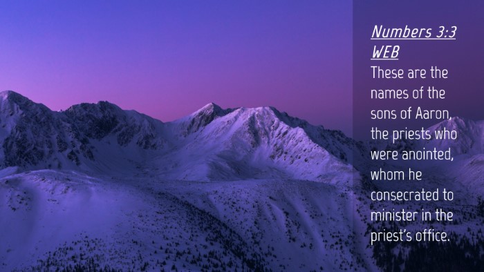 Picture 04 - Numbers 3:3 WEB Desktop Wallpaper - These are the names of the sons of Aaron, the - Desktop Bible Verse Wallpaper