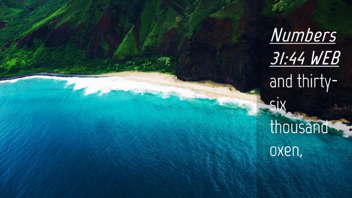 Picture 04 - Numbers 31:44 WEB Desktop Wallpaper - and thirty-six thousand - Desktop Bible Verse Wallpaper