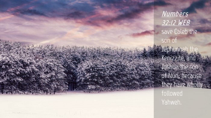 Picture 04 - Numbers 32:12 WEB Desktop Wallpaper - save Caleb the son of Jephunneh the Kenizzite, - Desktop Bible Verse Wallpaper