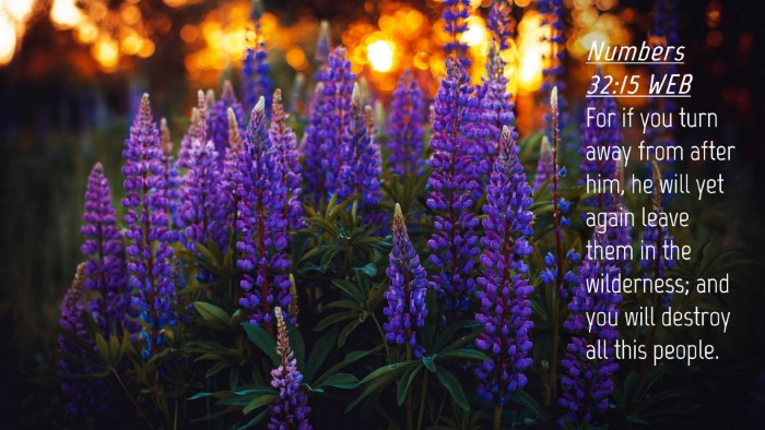 Picture 04 - Numbers 32:15 WEB Desktop Wallpaper - For if you turn away from after him, he will yet - Desktop Bible Verse Wallpaper
