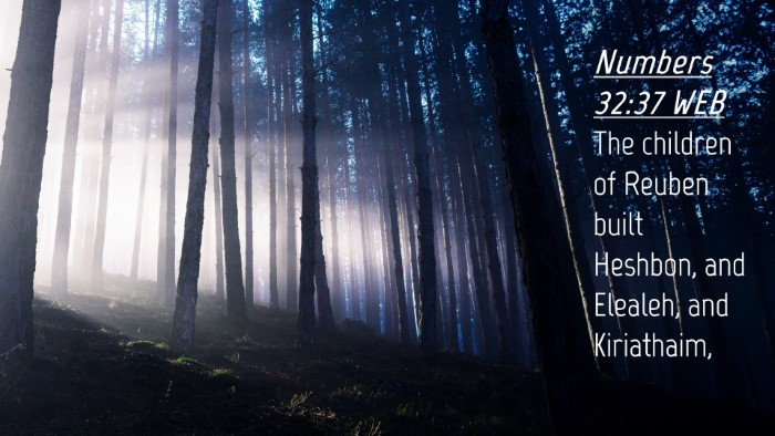 Picture 04 - Numbers 32:37 WEB Desktop Wallpaper - The children of Reuben built Heshbon, and - Desktop Bible Verse Wallpaper