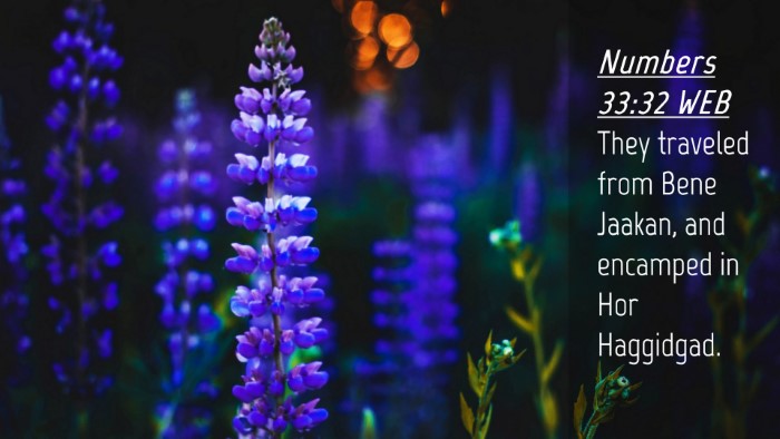 Picture 04 - Numbers 33:32 WEB Desktop Wallpaper - They traveled from Bene Jaakan, and encamped in - Desktop Bible Verse Wallpaper